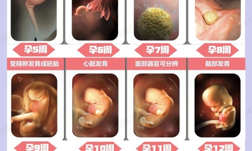 中医治疗脱发有效果吗、中医治疗脱发有效果吗 -中医真的治不好脱发吗网