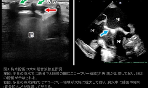中医真的治不好脱发吗女性-中医治疗脱发有效果吗、中医治疗脱发有效果吗 -中医真的治不好脱发吗网